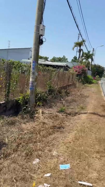 Đất vườn tại Thái Mỹ, Củ Chi 3294m² giá 16.5 tỷ - Cơ hội đầu tư tuyệt vời!