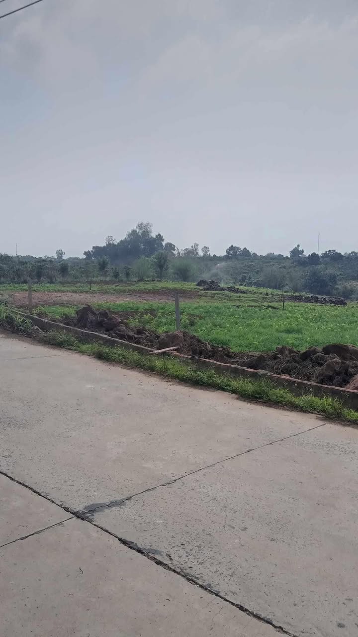 Đất nền Tân Hà Lâm Hà 94m² giá 1 tỷ - Đầu tư tiềm năng!