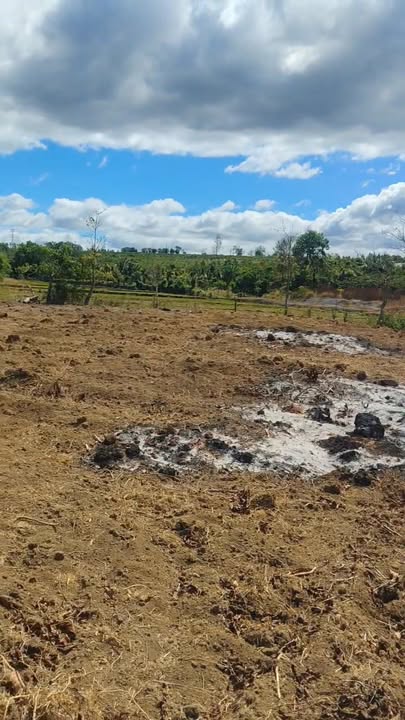 Đất nền Huyện Mang Yang 2340m² giá 1.15 tỷ - Đầu tư tiềm năng!