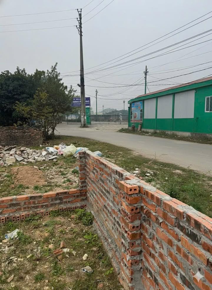 Đất thổ cư 81m² Khu Liên Minh, Vĩnh Yên - Tiện ích đầy đủ, đầu tư sinh lời!