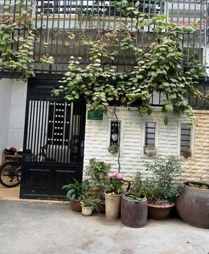 Nhà hẻm ô tô Phạm Hồng Thái Vũng Tàu 65m² giá 4.9 tỷ - Sẵn sàng ở ngay!