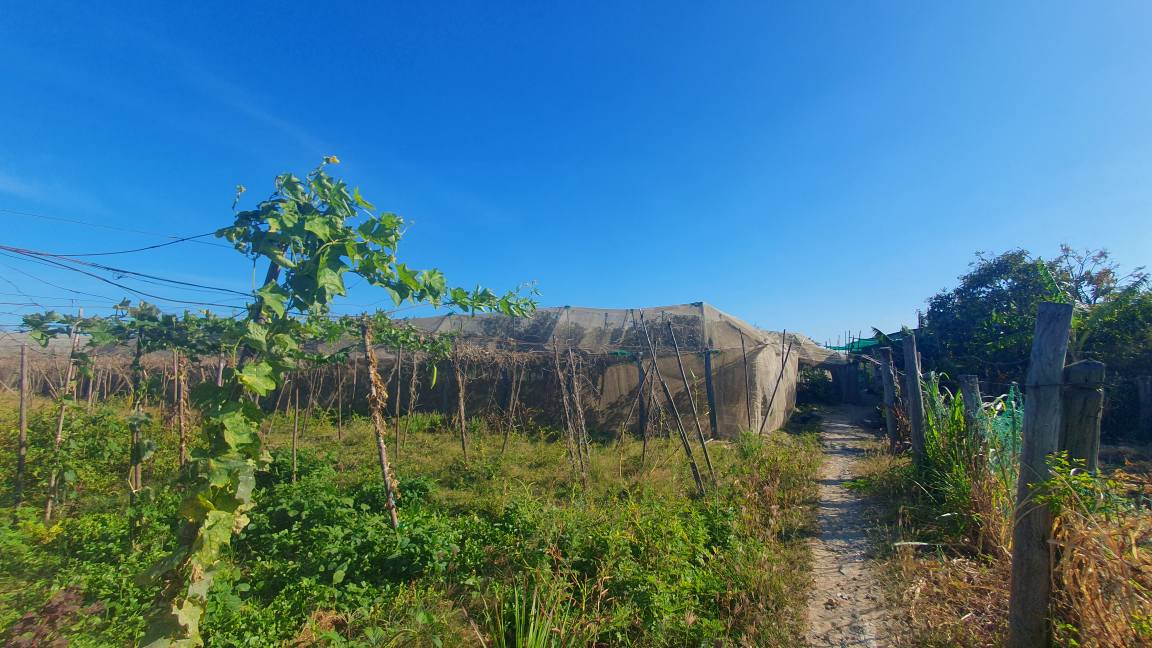 Đất thổ cư 400m² tại Thị trấn Khánh Hải, Ninh Hải giá chỉ 300 triệu - Cơ hội đầu tư hấp dẫn!