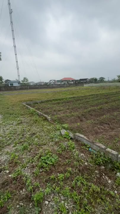 Đất thổ cư Huyện Nghi Lộc 300m² giá chỉ 600 triệu - Cơ hội đầu tư hấp dẫn!