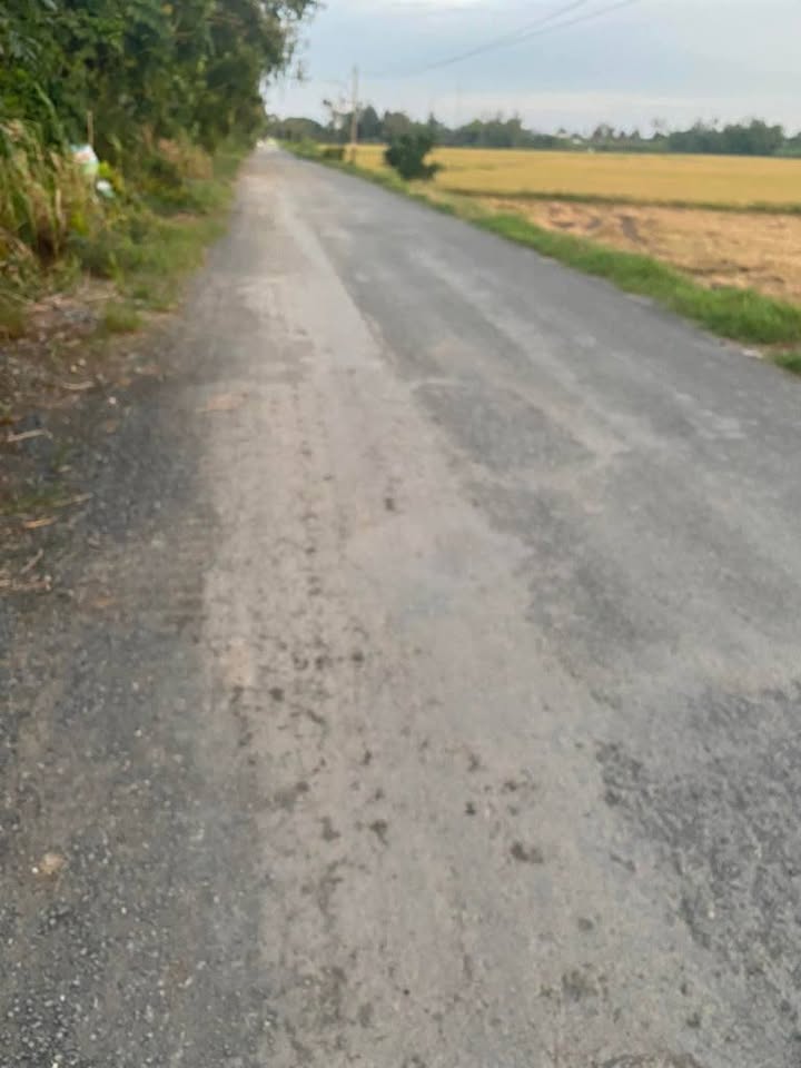 Đất ruộng Vĩnh Trạch 2000m² giá 1.3 tỷ - Mặt tiền kênh Thanh Niên