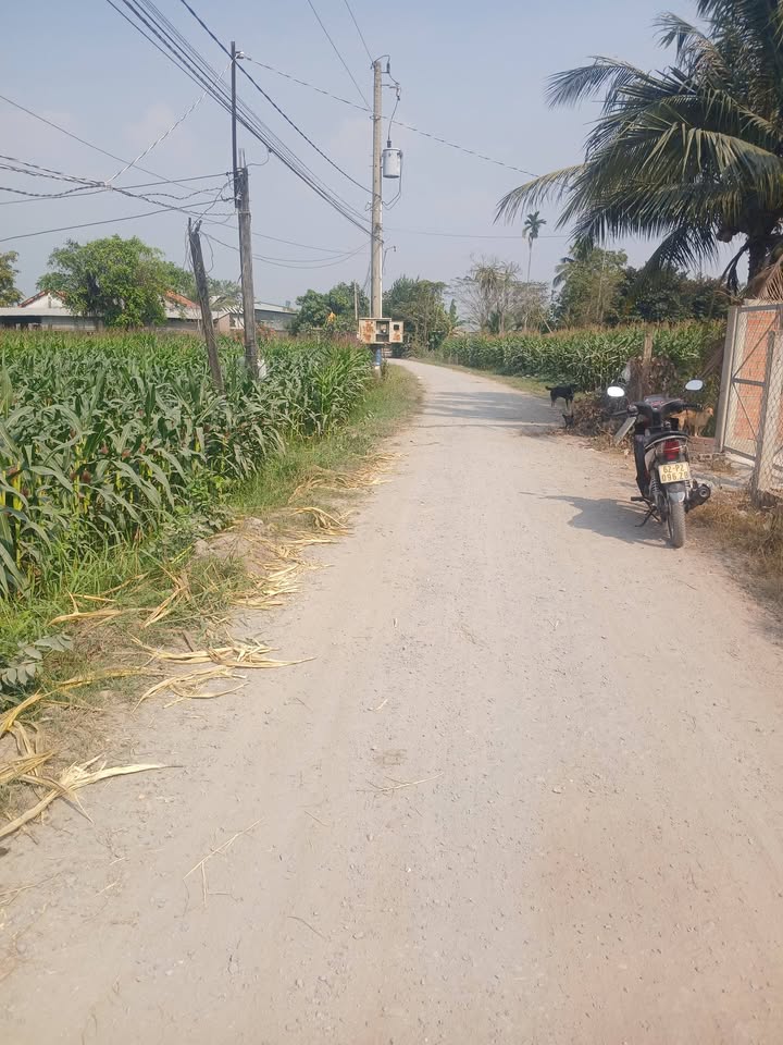 Đất thổ cư 204m² tại Ấp Đức Hạnh 1, Đức Lập Hạ chỉ 1.19 tỷ - Sổ hồng chính chủ!