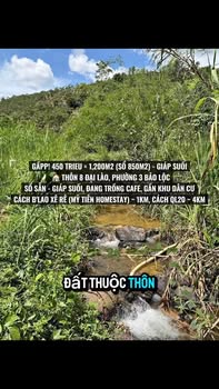 Đất nông nghiệp 1200m² tại Thôn 8, Bảo Lộc - Chỉ 450 triệu!