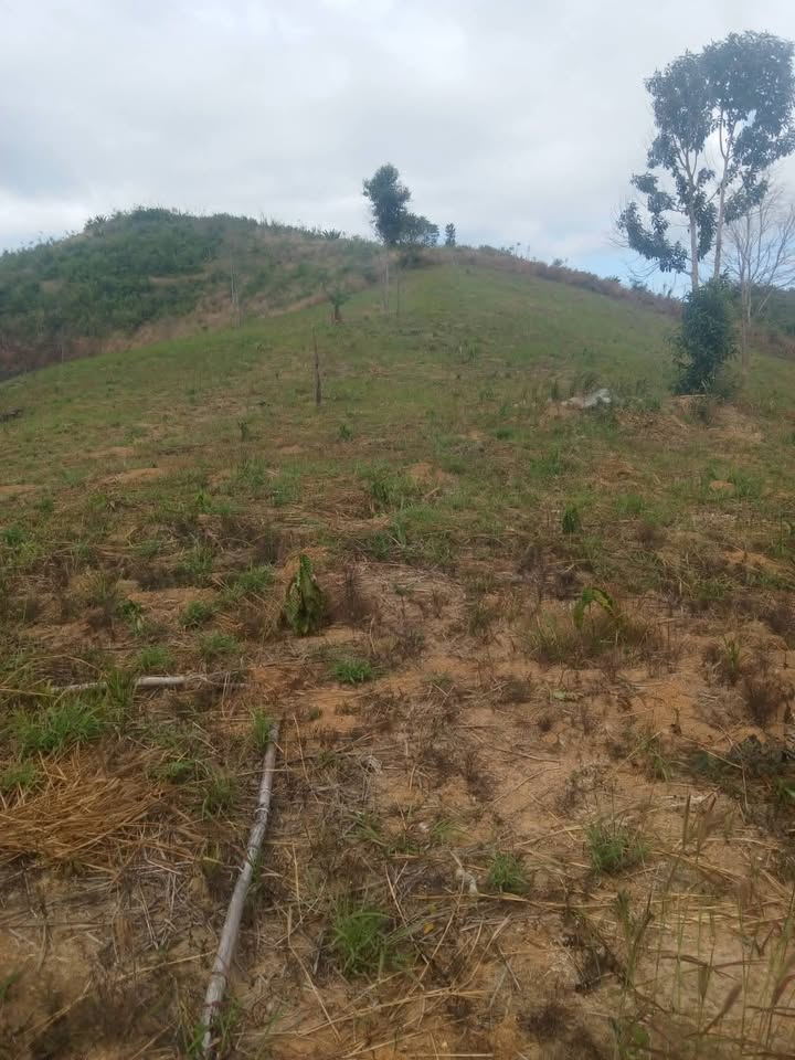 Đất nền 7ha tại thôn Phú Vinh, xã Quảng Phú giá chỉ 770 triệu - Cơ hội đầu tư hấp dẫn!