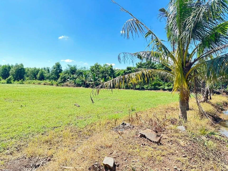 Đất nền Phước Tân 18000m² giá 5.5 tỷ - View suối mát mẻ!