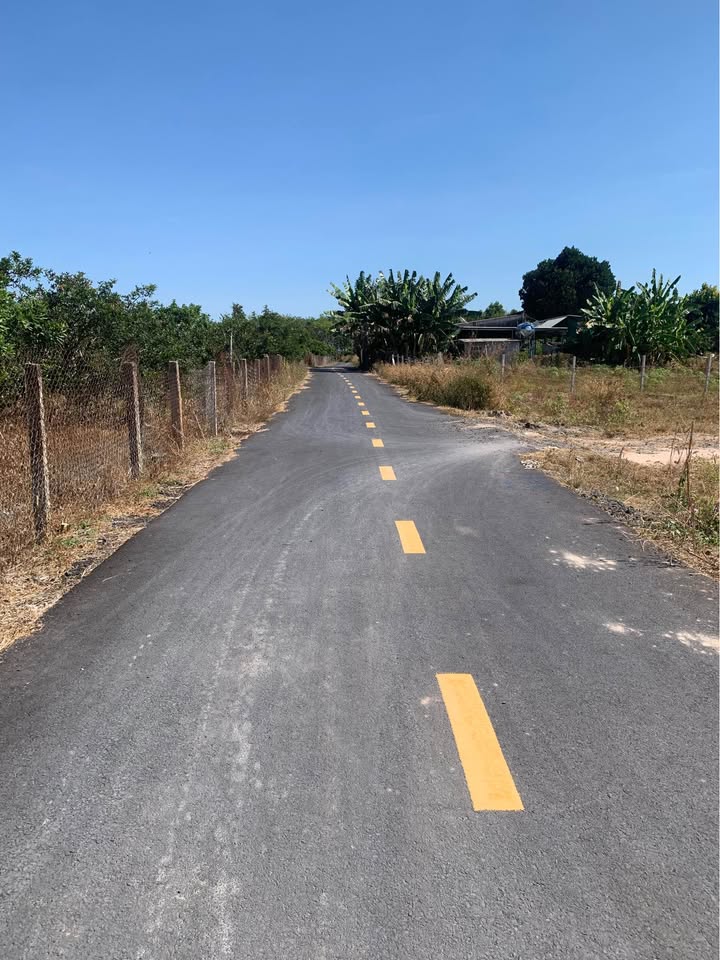 Đất thổ cư 150m² đường nhựa Phước Tân, Xuyên Mộc - Giá 790 triệu - Sổ hồng riêng!