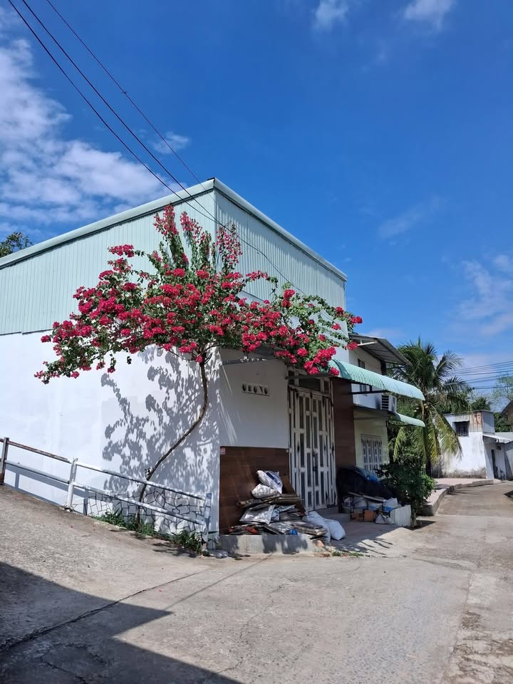 Nhà mặt tiền sông Rạch Xúc, Bình Thủy, 45.5m² - Giá cực hấp dẫn chỉ 400 triệu!