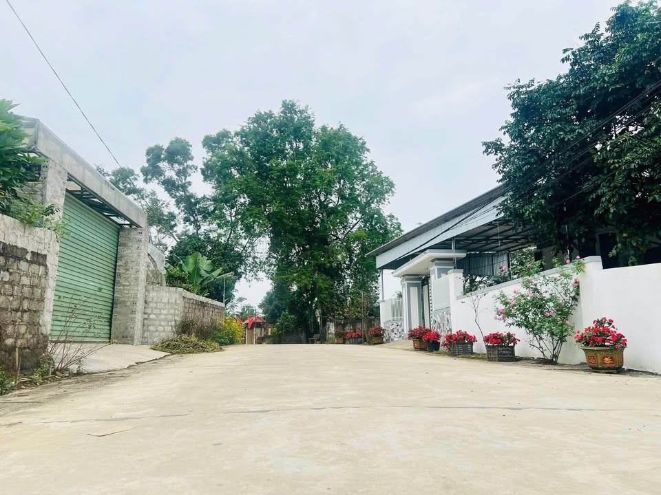 Đất nền Hoà Long, Thành phố Vinh 160m² giá chỉ 900 triệu - Cơ hội đầu tư tuyệt vời!