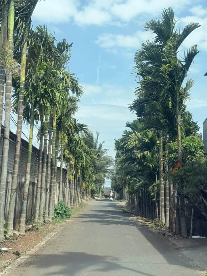 Đất nền Hòa Thuận Buôn Ma Thuột 65m² giá 560 triệu - Gần Quốc lộ 14!