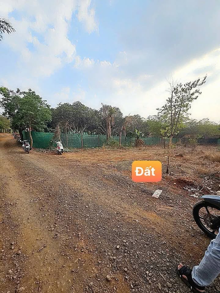 Đất nông nghiệp 500m² tại hẻm 179 đường 19/5 - Pháp lý sổ riêng, giá 850 triệu