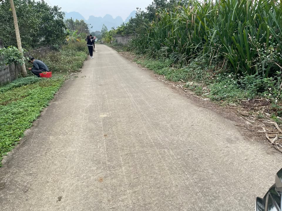 Đất nền Yên Trị, Yên Thủy 600m² giá chỉ 1 tỷ - Sổ hồng chính chủ!