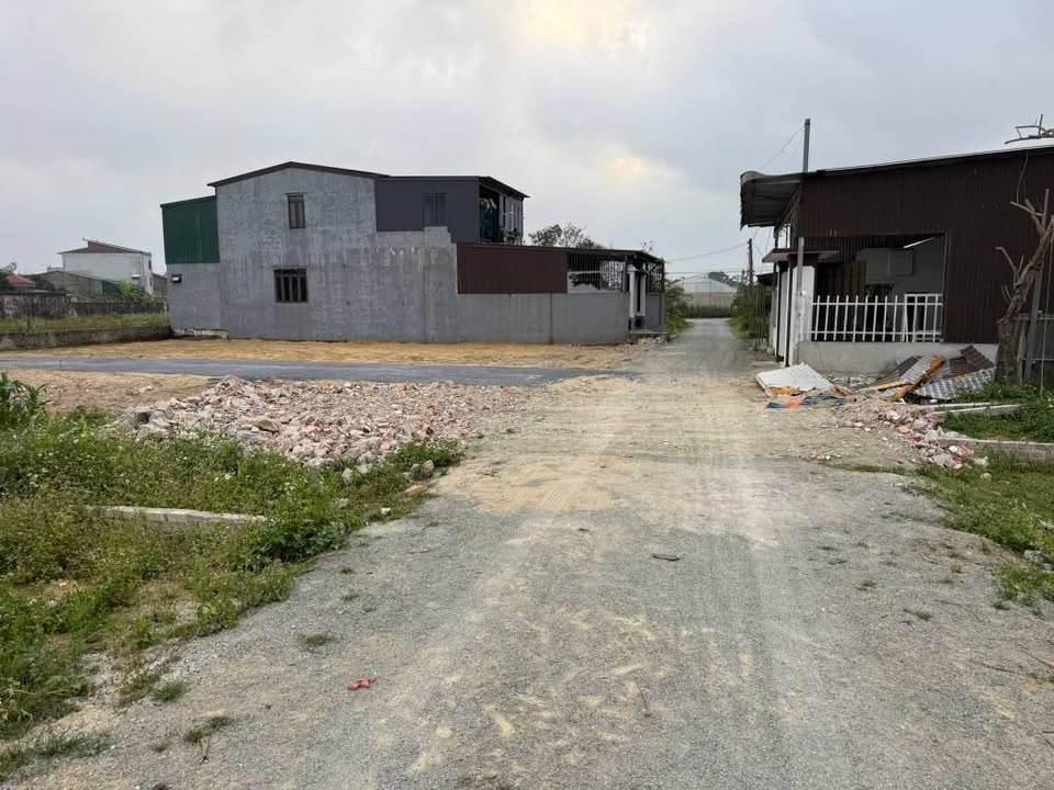 Đất Nghi Phong, Nghi Lộc, Nghệ An 79.5m² giá 1.9 tỷ - Vị trí đẹp, tiện ích đầy đủ!