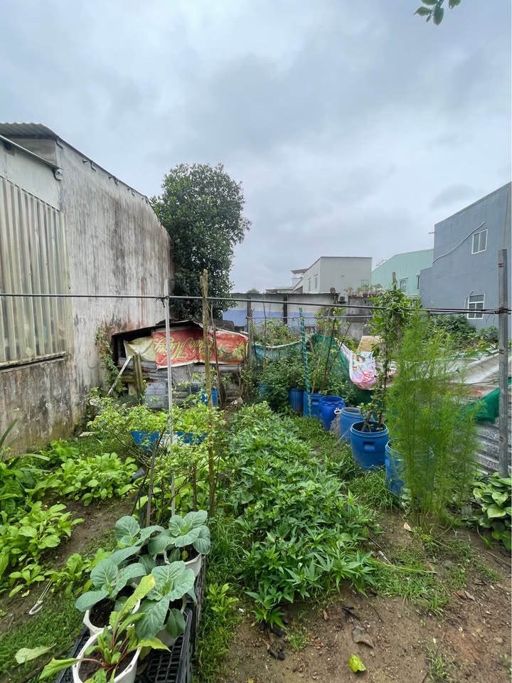 Đất Nguyễn Như Đãi, Đà Nẵng 100m² giá 2.15 tỷ - Sổ đỏ chính chủ, vị trí đắc địa!