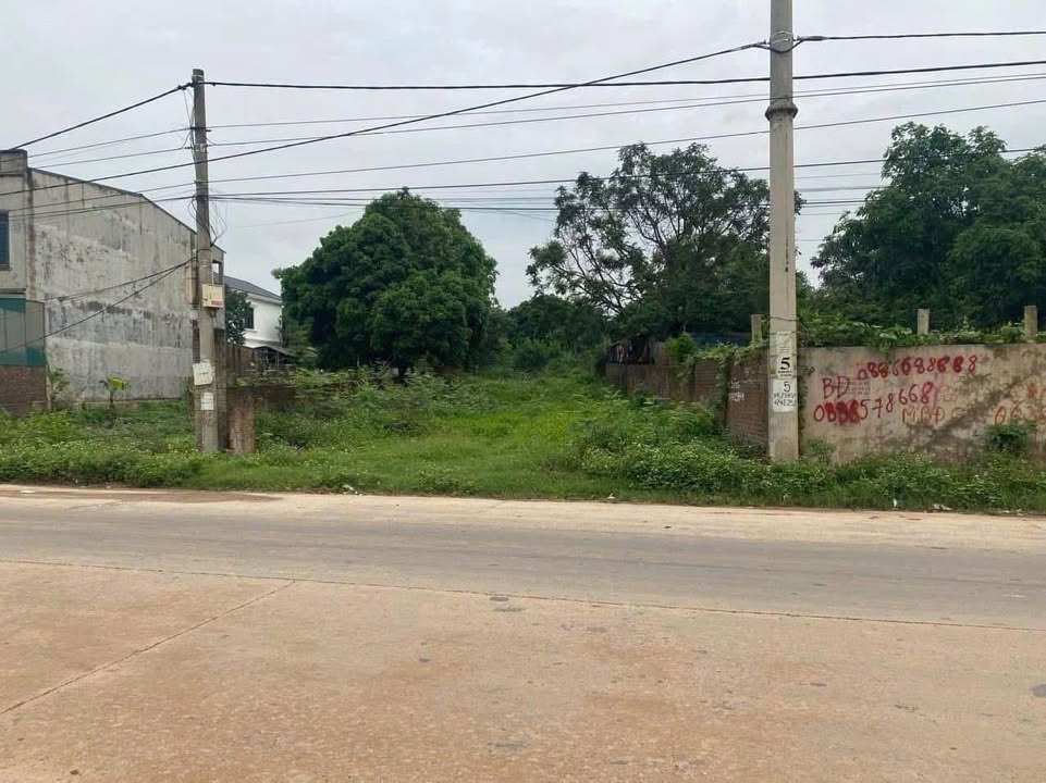 Đất nền mặt đường TL 310, Tam Dương, Vĩnh Phúc 555m² - Cơ hội đầu tư hấp dẫn!