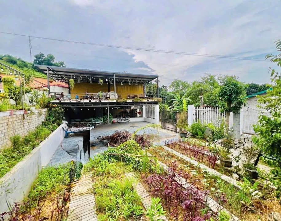 Đất vườn 400m² tại Yên Bái giá chỉ 2.2 tỷ - Cơ hội đầu tư hấp dẫn!