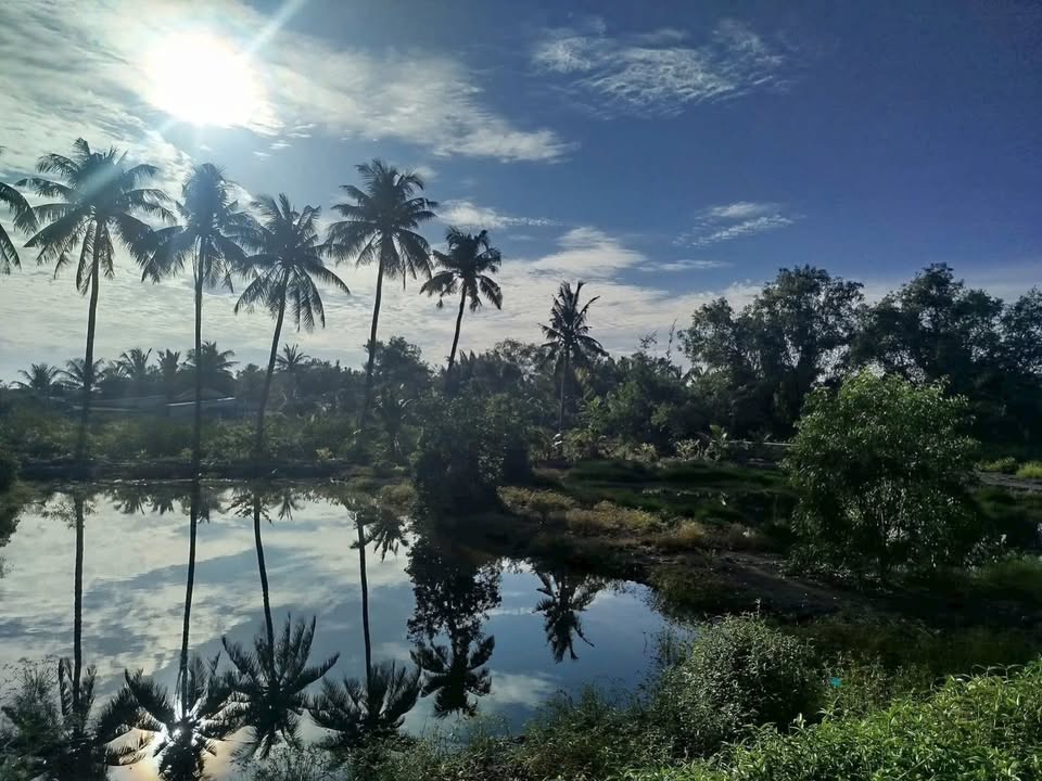 Đất mặt tiền sông Vàm Cỏ Đông tại ấp 10, xã Lương Hòa, 1000m² chỉ 1.7 tỷ - Cơ hội đầu tư tuyệt vời!