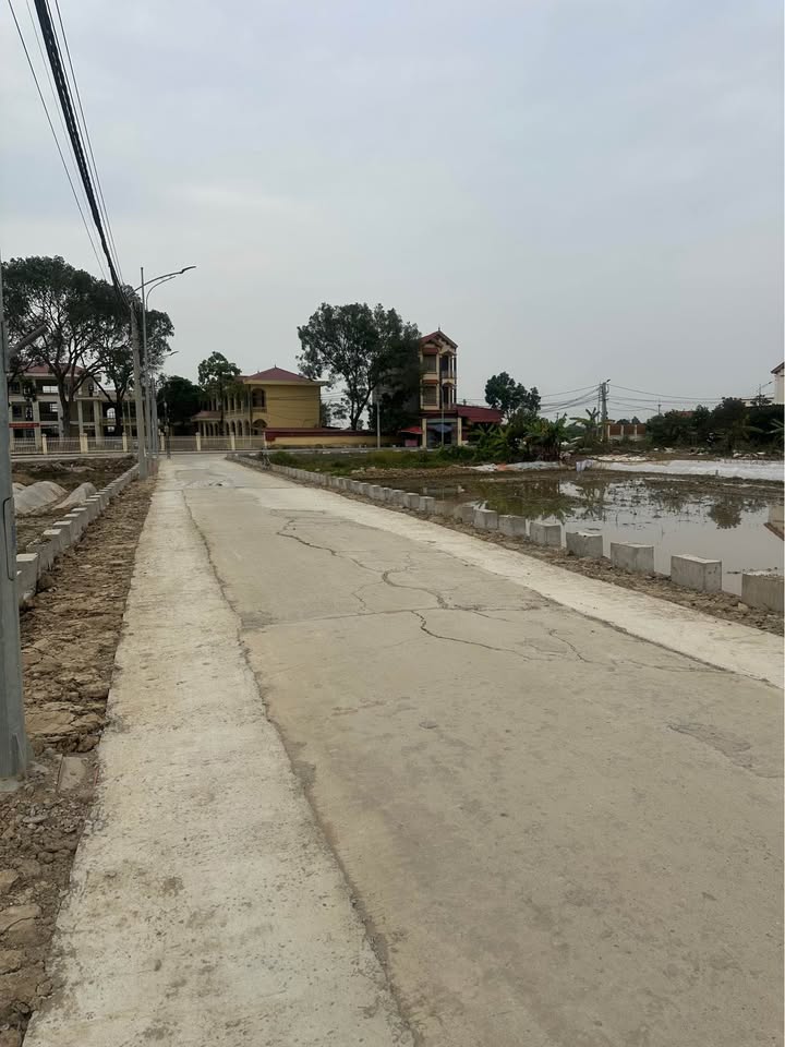 Đất nền đẹp tại Xuân Lai, Gia Bình, Bắc Ninh 100m² giá chỉ 3 tỷ - Cơ hội đầu tư hiếm có!