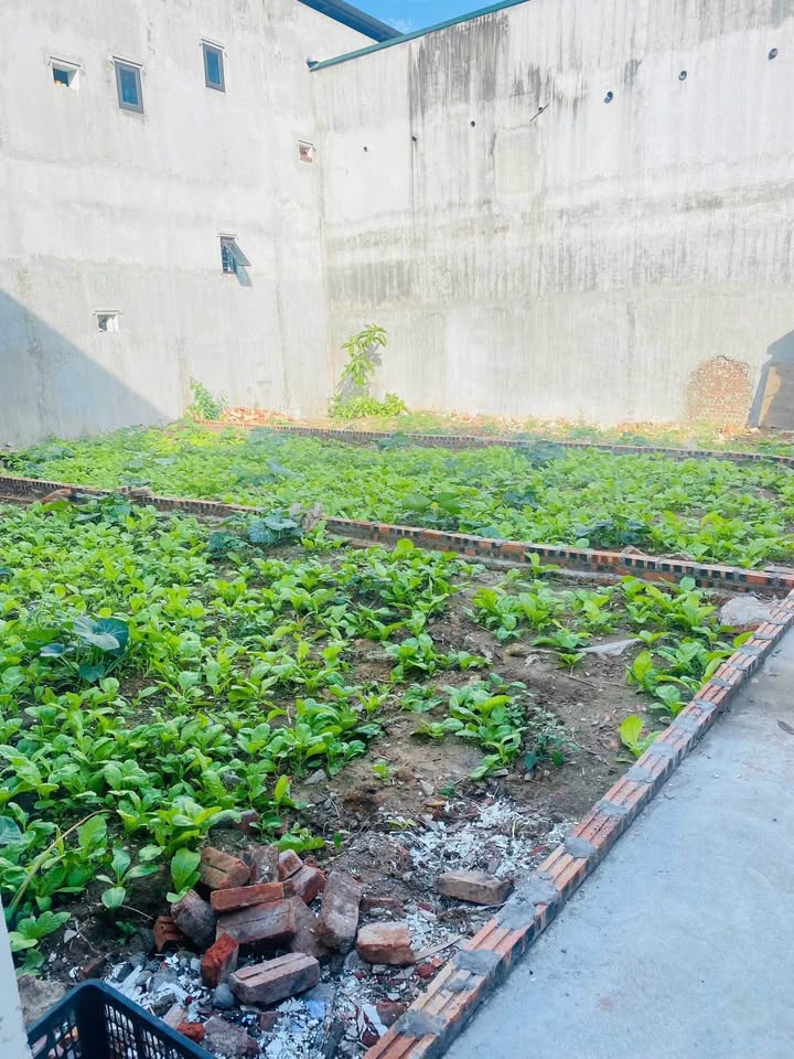 Đất thổ cư Tam Á, Thuận Thành 50,4m² giá 1 tỷ - Sổ đỏ lâu dài!