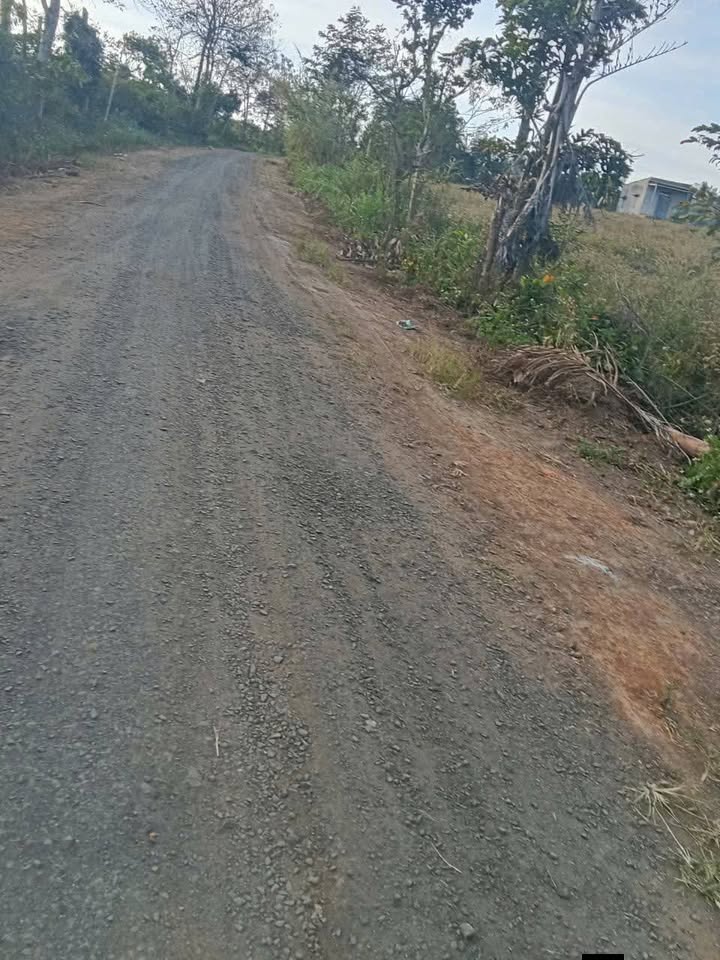 Lô đất 1440m² tại Xã Phú Xuân, Huyện Krông Năng - Giá chỉ 1.49 tỷ - Cơ hội đầu tư hiếm có!