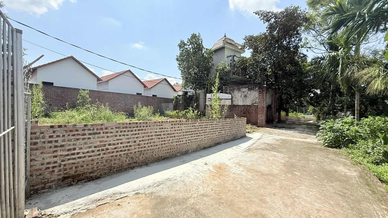 Đất thổ cư Tiên Phong, Ba Vì 270m² giá 2 tỷ - Cơ hội đầu tư tuyệt vời!