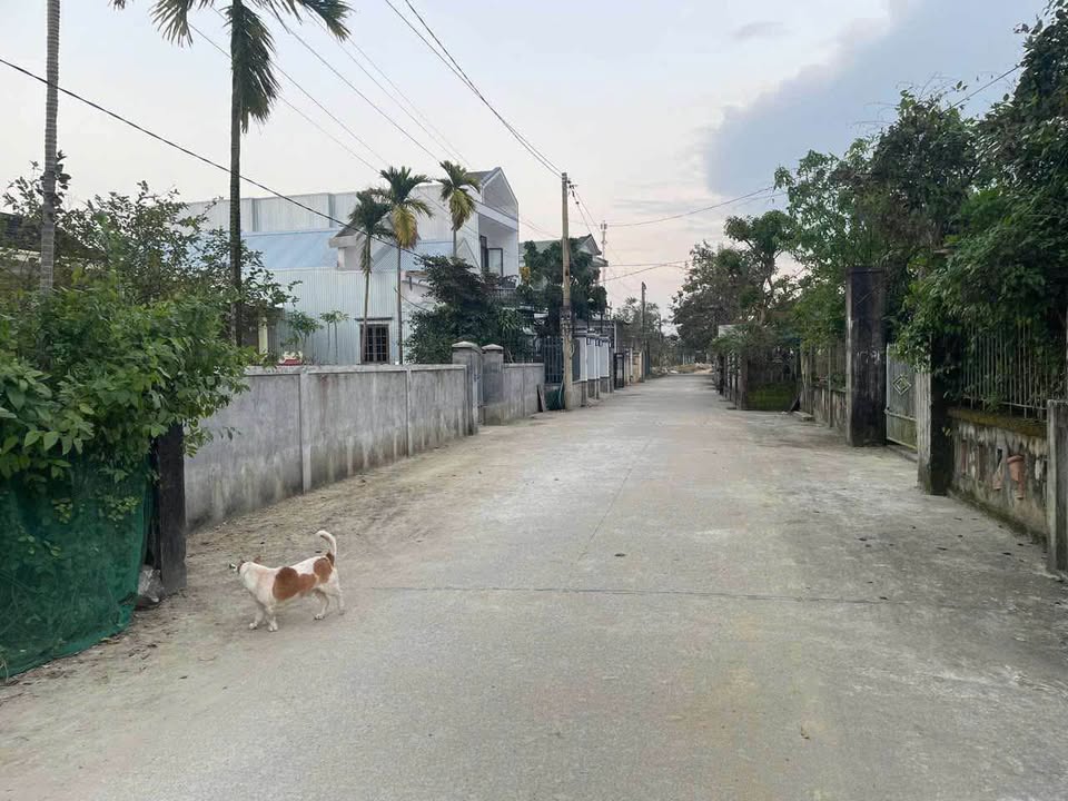 Đất nền Phú Mỹ, Thừa Thiên Huế 145,5m² giá 2,4 tỷ - Vị trí đắc địa gần trung tâm!