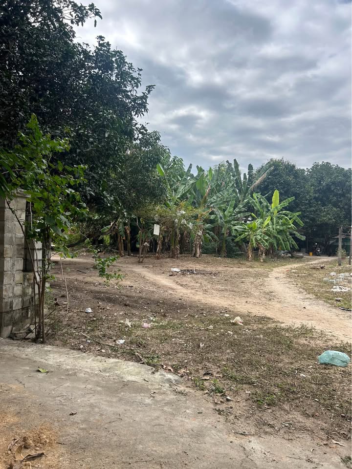 Đất thổ cư thôn Phước Lộc, Nha Trang 125m² giá 380 triệu - Vị trí đẹp, xây nhà ở ngay!