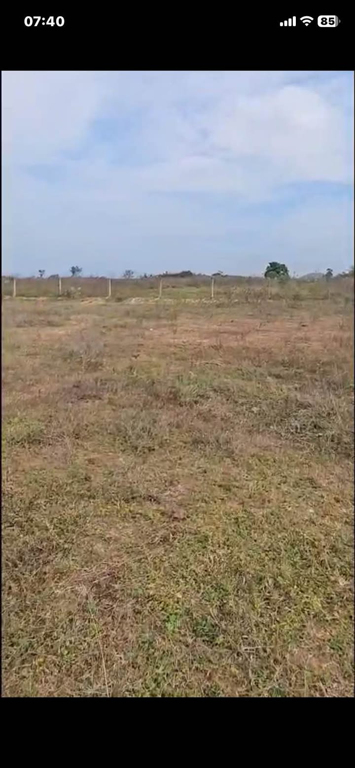 Đất Farm 360m² tại Xã Hồng Liêm, Huyện Hàm Thuận Bắc giá chỉ 120 triệu - Cơ hội đầu tư hấp dẫn!