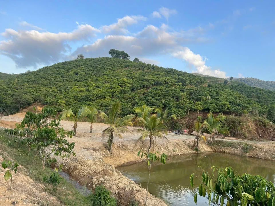 Đất nền đẹp 15000m² tại Đam Rông, Lâm Hà chỉ 2,8 tỷ - Tiềm năng đầu tư lớn!