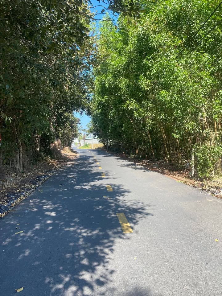 Đất nền Phước Bửu, Hồ Tràm 340m² giá 2.6 tỷ - Cơ hội đầu tư tuyệt vời!