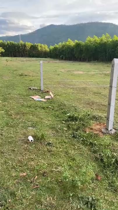 Đất thổ cư Khánh Hòa 360m² giá 199 triệu - Sổ đỏ riêng, ô tô vào tận nơi!