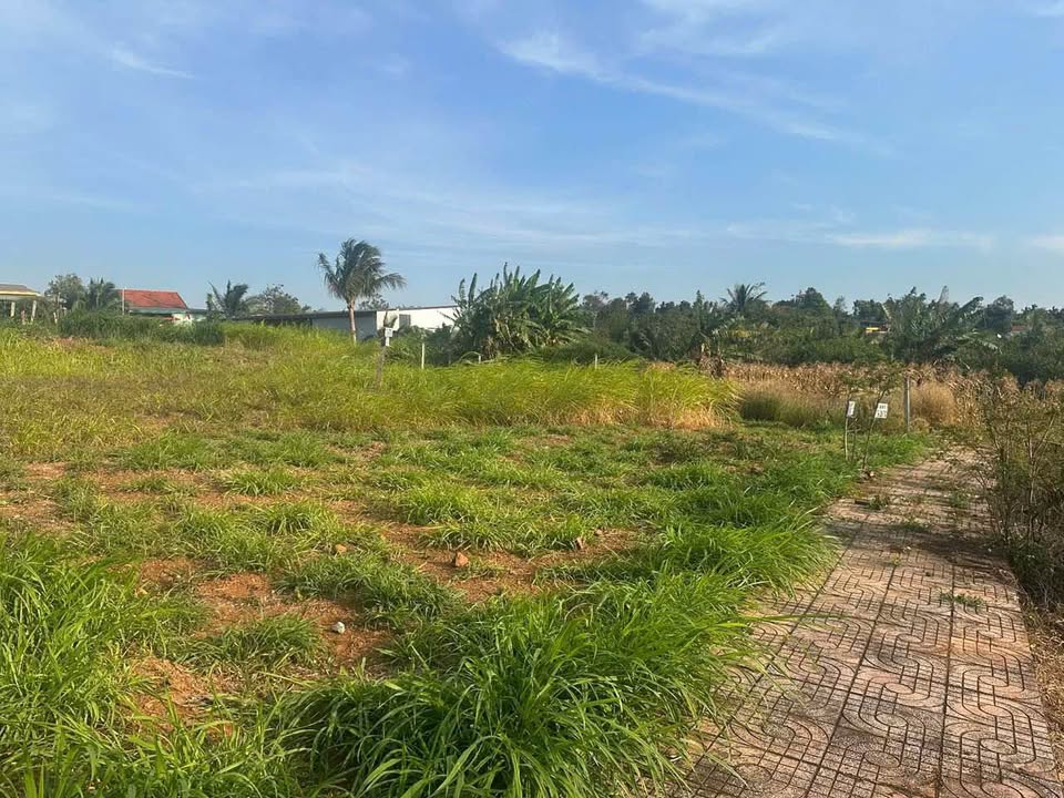 Đất nền hẻm cấp 1 Đường Hồ Chí Minh, Xã Ea Kao, 600m² giá 3.1 tỷ - Cơ hội đầu tư tuyệt vời!