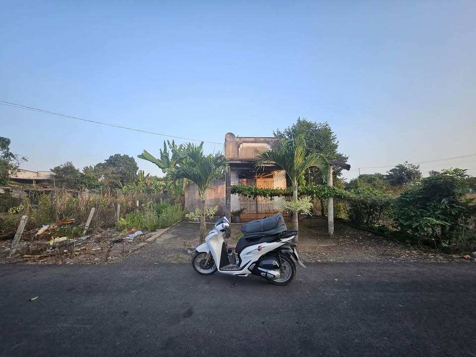 Đất thổ cư xã Hòa Hội, huyện Xuyên Mộc 387m² giá 1.9 tỷ - Sổ hồng chính chủ, bớt lộc cho người mua nhanh!