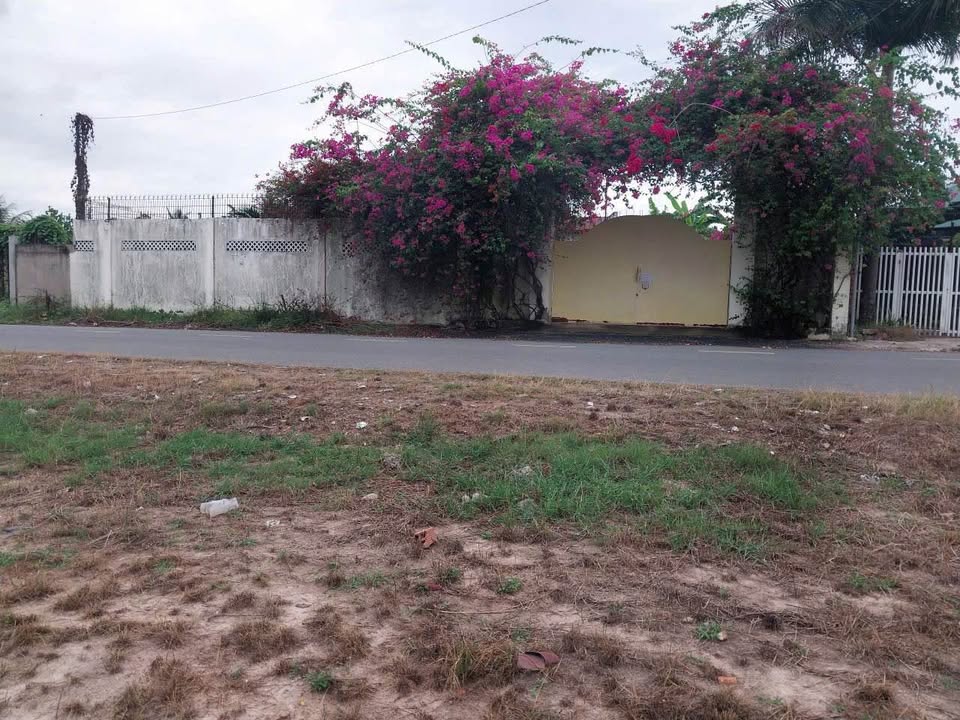 Đất Mặt Tiền Đường Nguyễn Hữu Thọ, Tây Ninh 400m² giá 18 tỷ - Cơ hội đầu tư tốt!