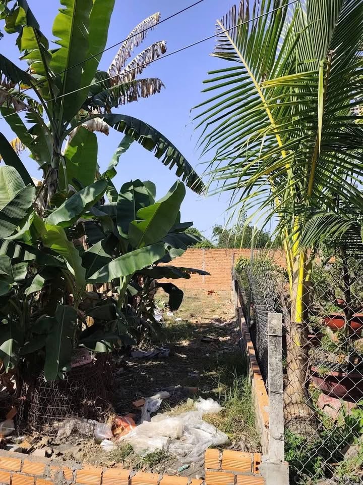 Đất nền Thới Tam Thôn, Hóc Môn 90m² giá 1.5 tỷ - Cơ hội đầu tư tuyệt vời!