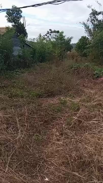 Đất nền bán gấp tại làng Grang, Xã Ia O, 900m² chỉ từ 380 triệu!