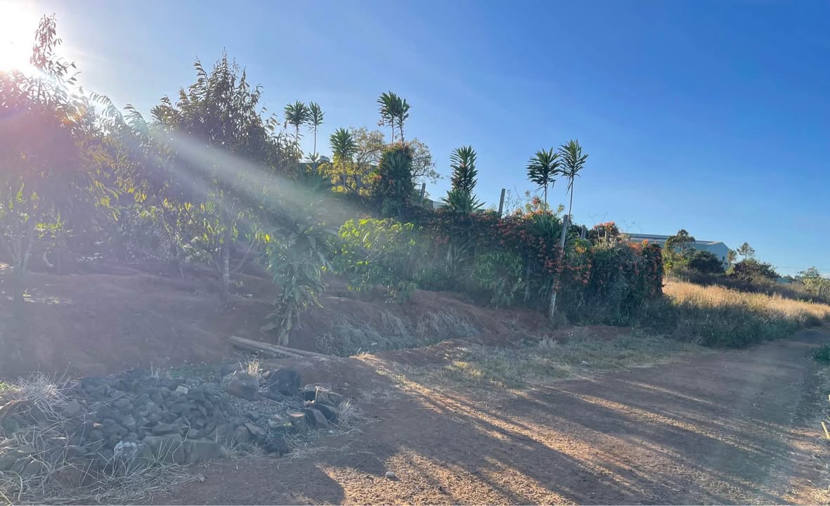 Đất ở đường Hoàng Sa, Phường Diên Hồng, 215m² giá 700 triệu - Đất cao ráo, vị trí đẹp!