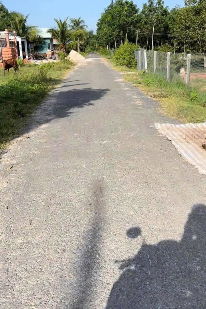 Đất nền chính chủ tại Tân Bình, Tân Biên 444m² giá 9 tỷ - Cơ hội đầu tư hấp dẫn!