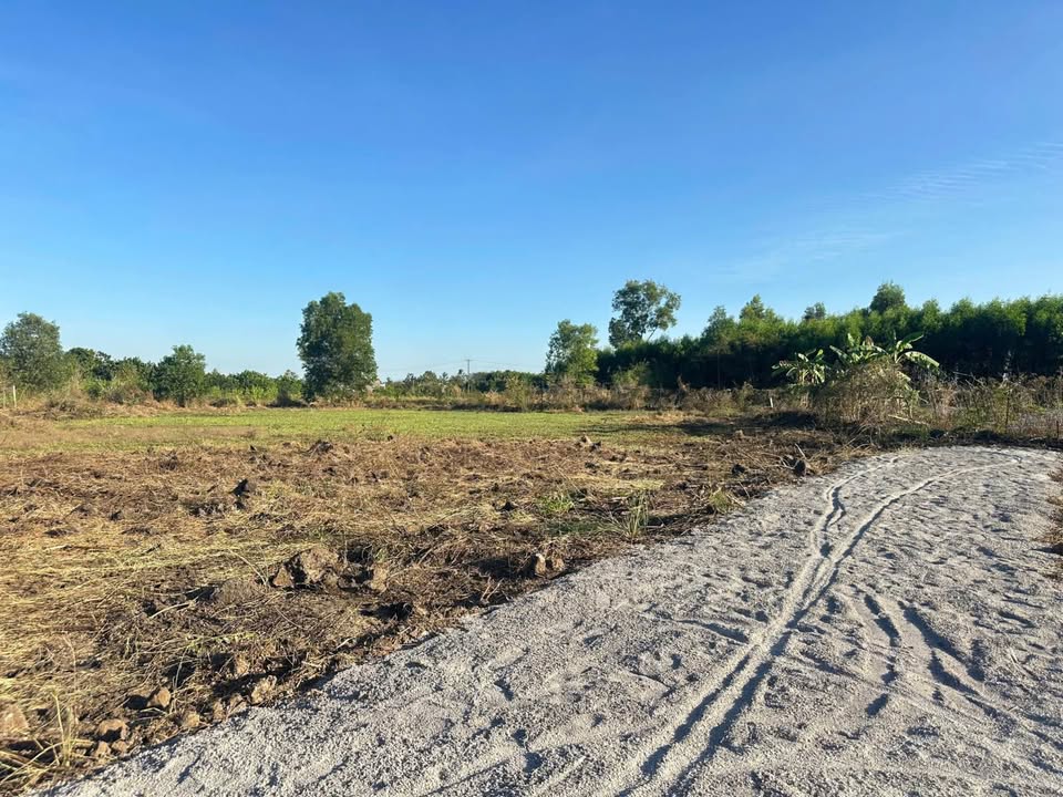 Đất nền xã Phú Hòa, Huyện Củ Chi 1300m² giá chỉ 350 triệu - Cơ hội đầu tư hấp dẫn!