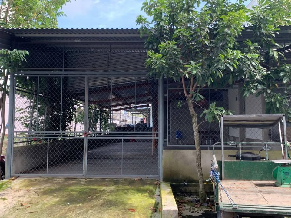 Nhà cấp 4 góc Đông Dinh - Diên Toàn 106m² giá 2.3 tỷ - Kinh doanh thuận lợi!