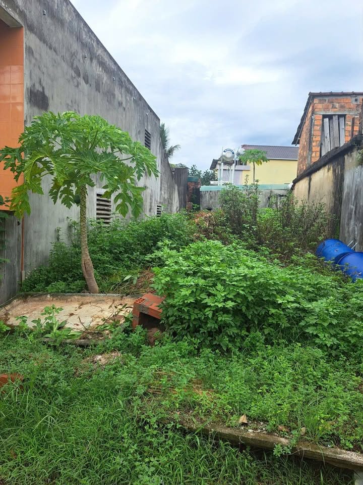 Đất nền mặt tiền ngã 3 Mãnh Hổ, Phước Thành 100m² giá 1.1 tỷ - Sổ đỏ chính chủ!