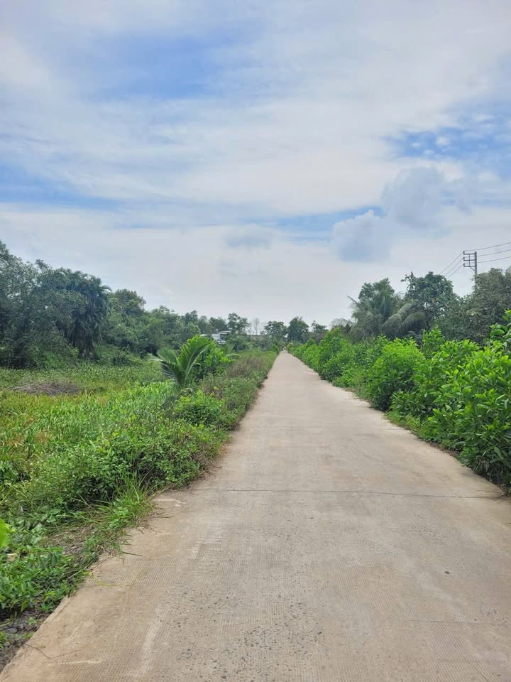 Đất nền Bình Chánh 2,2ha giá 87.5 tỷ - Cơ hội đầu tư tốt!