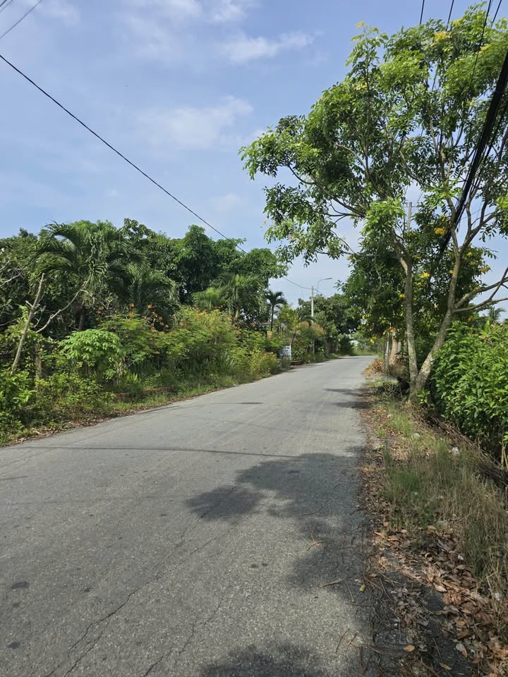 Đất vườn Hưng Long, Bình Chánh 995m² giá 4.8 tỷ - Sổ hồng riêng, giá thương lượng