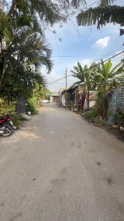 Nhà chính chủ 56m² tại Bình Chánh giá chỉ 1.28 tỷ - Đón Tết ngay!