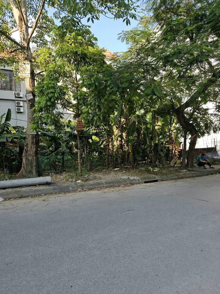 Đất nền Quận Hải An 135m² giá 14.85 tỷ - Vị trí đẹp xây biệt thự