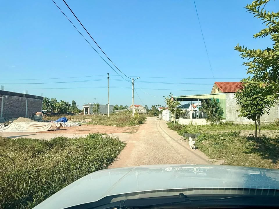 Đất nền Phường Ninh Dương - 70m² giá 800 triệu - Cơ hội đầu tư tiềm năng!