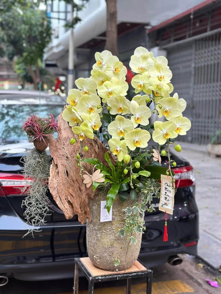 Đất nền thổ cư 417m² tại Đại Đình, Tam Đảo - Giá chỉ 1 tỷ, vị trí đắc địa!