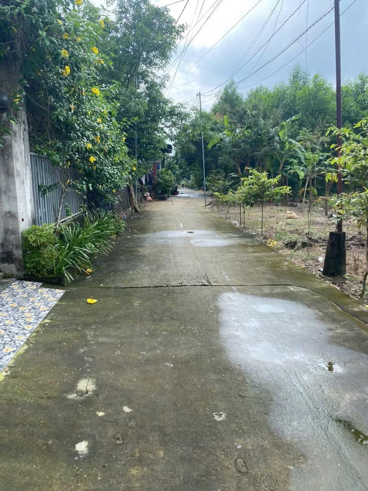 Đất thổ cư 290m² tại khu phố Trảng Cát, quận Tân Phú - Sổ đỏ chính chủ giá 1.3 tỷ!